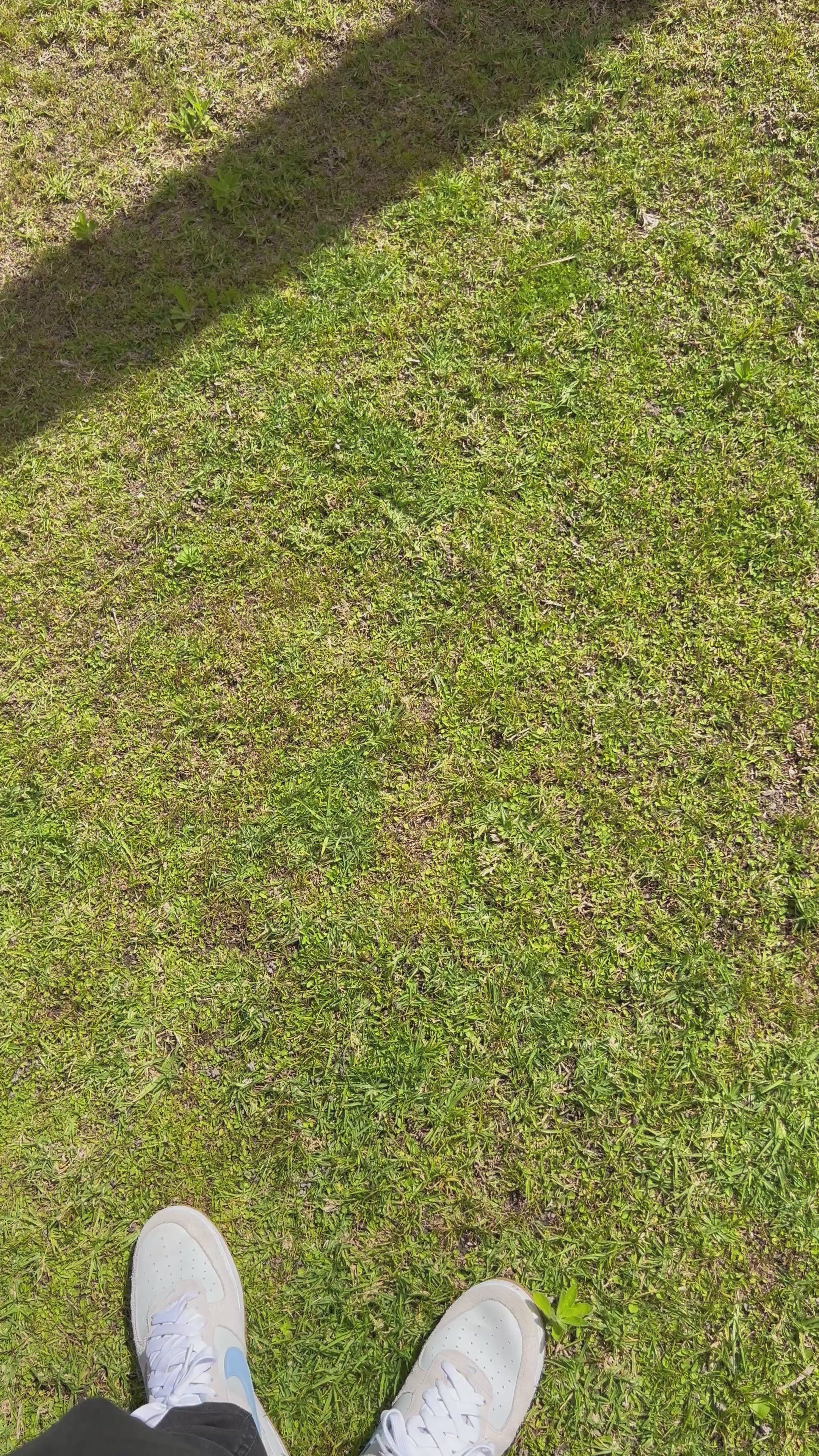 Seiko Datejust Blue diamond Dial